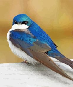 Tree Swallow Diamond Painting