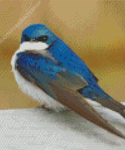 Tree Swallow Diamond Painting