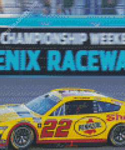 22 Nascar Diamond Painting