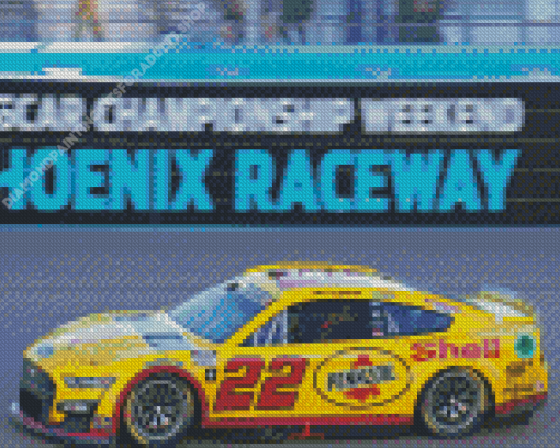 22 Nascar Diamond Painting