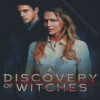 A Discovery of Witches Poster Diamond Painting