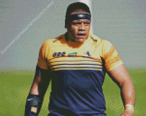 ACT Brumbies Player Diamond Painting