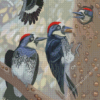 Acorn Woodpecker Bird Diamond Painting