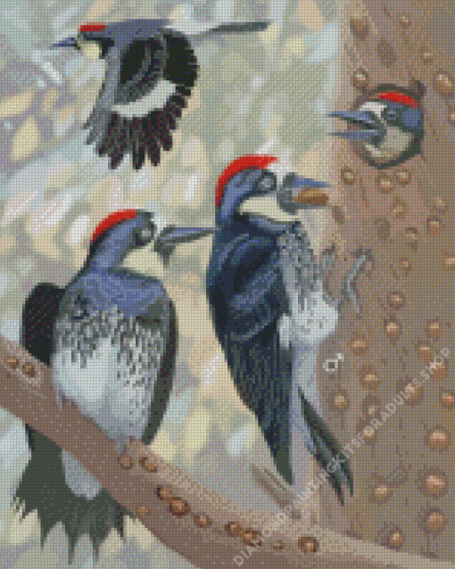 Acorn Woodpecker Bird Diamond Painting