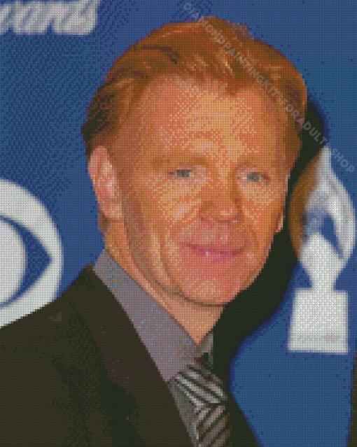 Actor David Caruso Diamond Painting