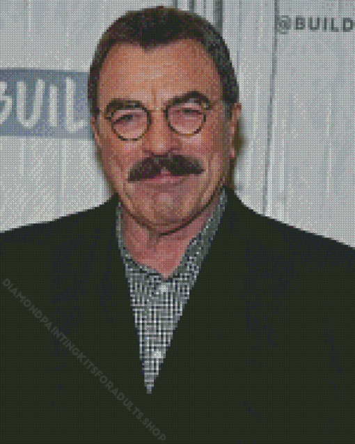 American Tom Selleck Diamond Painting