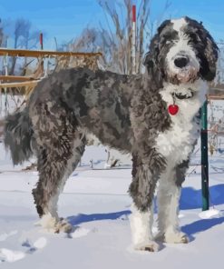 Aussiedoodle In Snow Diamond Painting