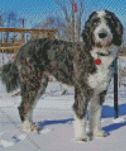 Aussiedoodle In Snow Diamond Painting