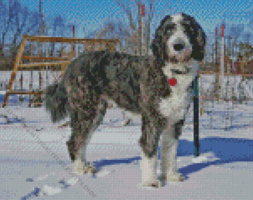 Aussiedoodle In Snow Diamond Painting