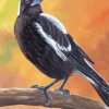 Australian Magpie On a Branch Art Diamond Painting