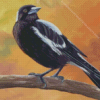 Australian Magpie On a Branch Art Diamond Painting