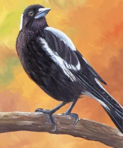 Australian Magpie On a Branch Art Diamond Painting