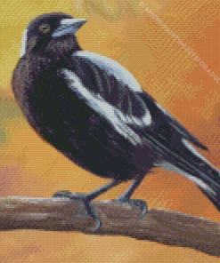 Australian Magpie On a Branch Art Diamond Painting