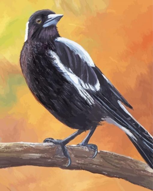 Australian Magpie On a Branch Art Diamond Painting