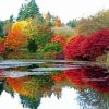 Autumn Colours at VanDusen Botanical Garden Diamond Painting