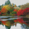 Autumn Colours at VanDusen Botanical Garden Diamond Painting