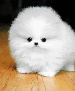 Baby White Fluffy Dog Diamond Painting