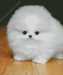 Baby White Fluffy Dog Diamond Painting