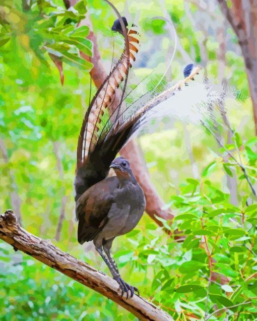 Beautiful Lyrebird Diamond Painting