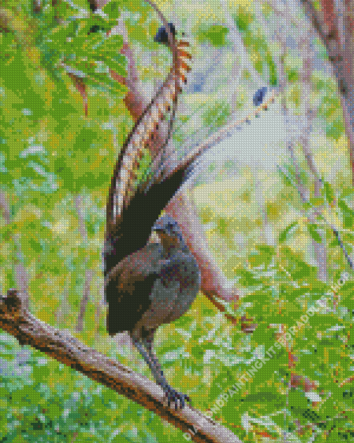 Beautiful Lyrebird Diamond Painting