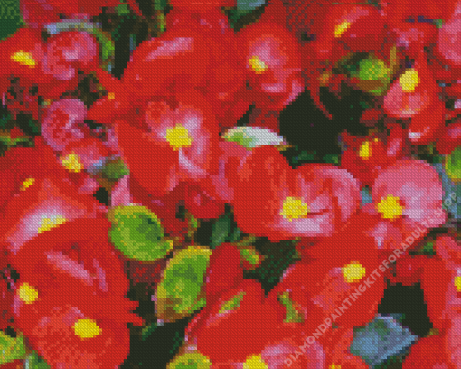 Begonia Flowers Diamond Painting