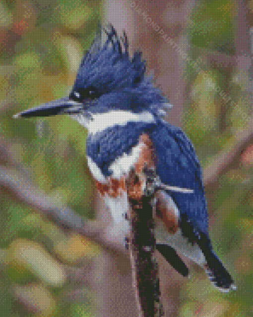 Belted Kingfisher Bird Diamond Painting