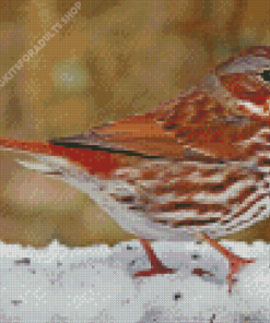 Bird And Snow Diamond Painting