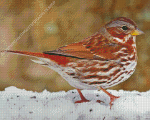 Bird And Snow Diamond Painting