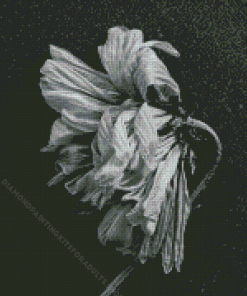 Black And White Dead Flower Diamond Painting