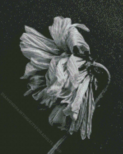 Black And White Dead Flower Diamond Painting