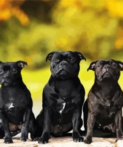 Black Staffies Dogs Diamond Painting