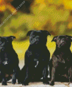 Black Staffies Dogs Diamond Painting