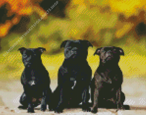 Black Staffies Dogs Diamond Painting