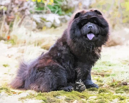 Black Chow Chow Diamond Painting