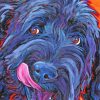 Black Labradoodle Art Diamond Painting