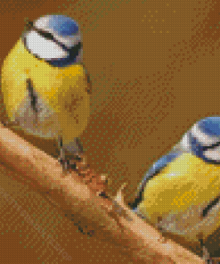 Bluetits Birds Diamond Painting