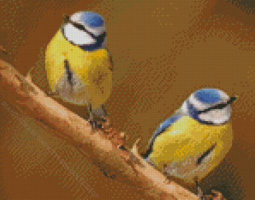 Bluetits Birds Diamond Painting