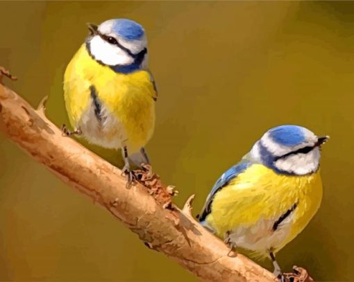 Bluetits Birds Diamond Painting