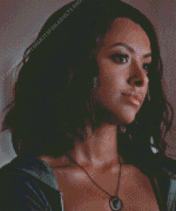 Bonnie Bennett Diamond Painting