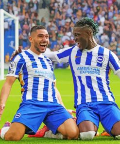 Brighton And Hove Albion FC Players Diamond Painting