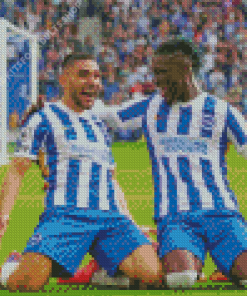 Brighton And Hove Albion FC Players Diamond Painting