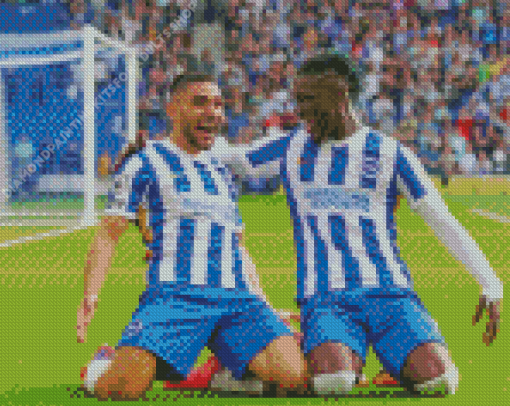 Brighton And Hove Albion FC Players Diamond Painting