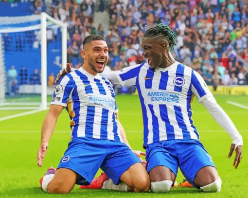 Brighton And Hove Albion FC Players Diamond Painting