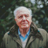 British Biologist David Attenborough Diamond Painting