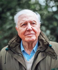 British Biologist David Attenborough Diamond Painting