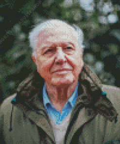 British Biologist David Attenborough Diamond Painting