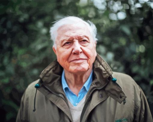 British Biologist David Attenborough Diamond Painting