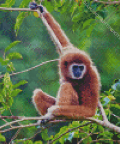 Brown Gibbon Monkey Diamond Painting