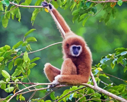 Brown Gibbon Monkey Diamond Painting