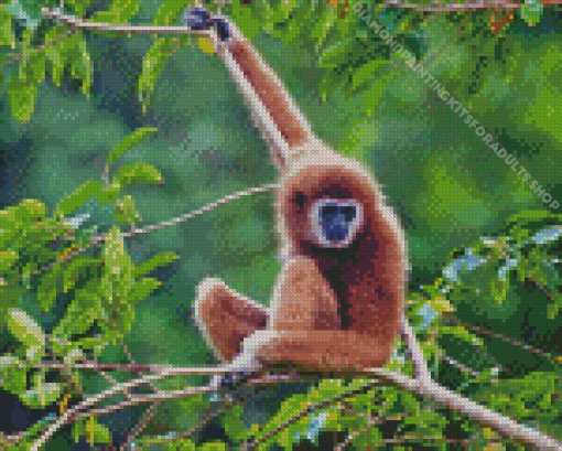 Brown Gibbon Monkey Diamond Painting